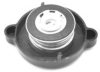 CALORSTAT by Vernet RC0020 Cap, radiator